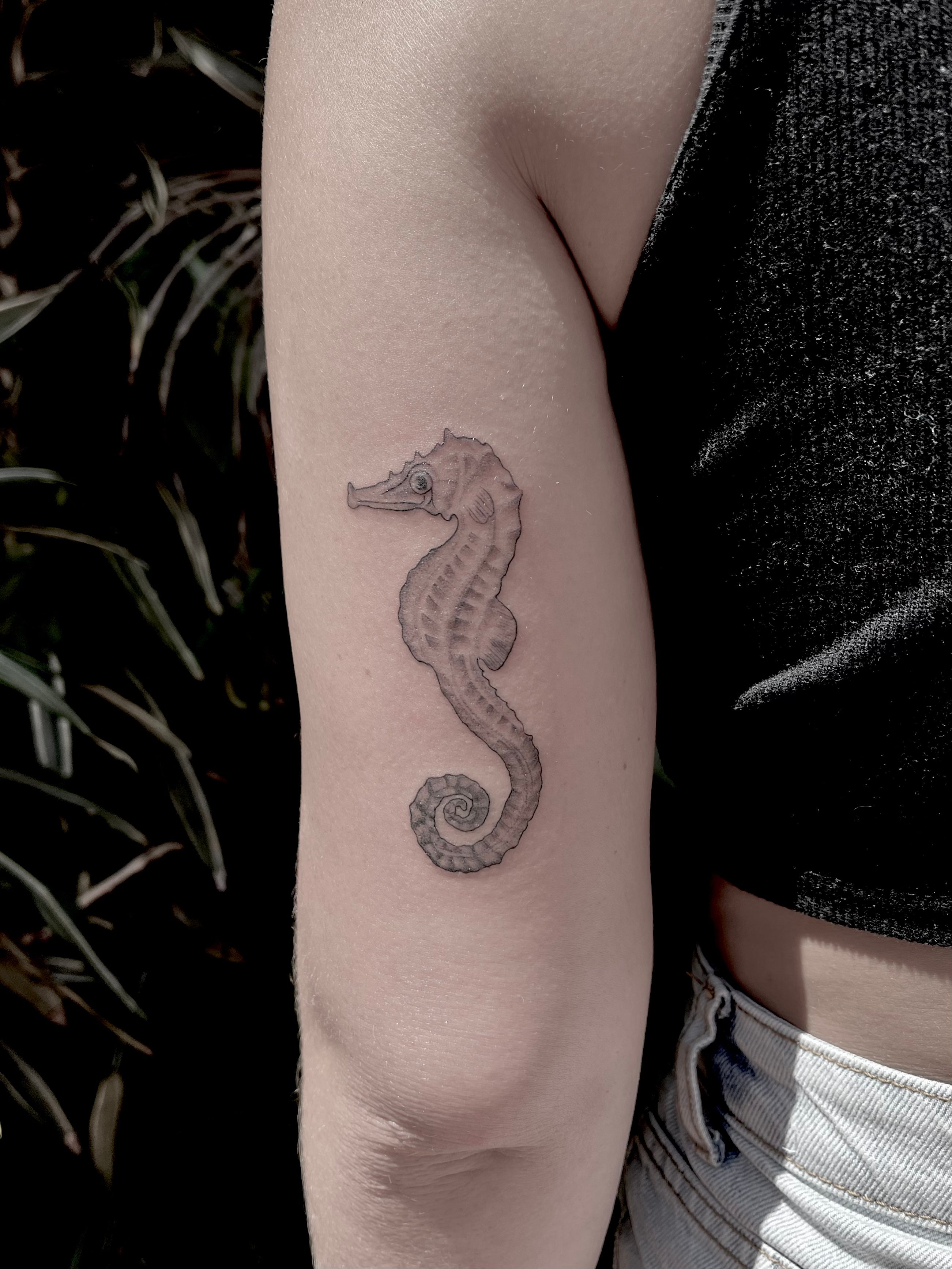 Traditional Seahorse Tattoo Design For Girl Sleeve – Truetattoos